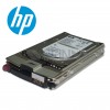 HP 3.5" FC 300GB